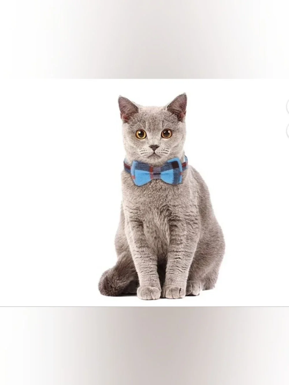 Cat/Kitten 😺 Collar Plaid Bandana with Bells and Bowtie, 2 Packs